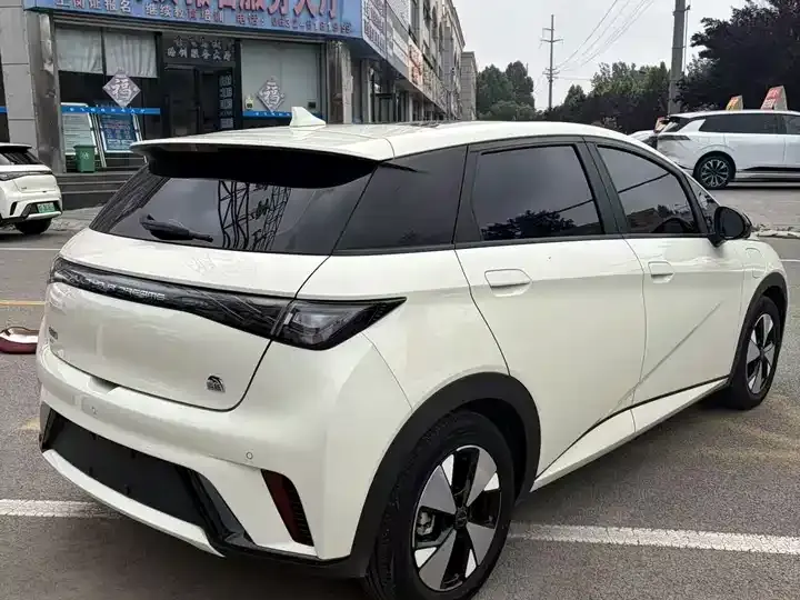 Dolphin 2023 420km Fashion Edition 6