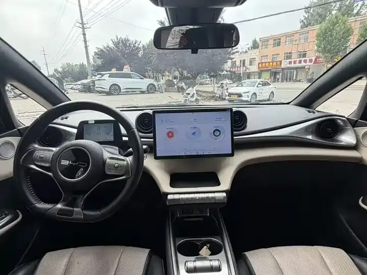 Dolphin 2023 420km Fashion Edition 9