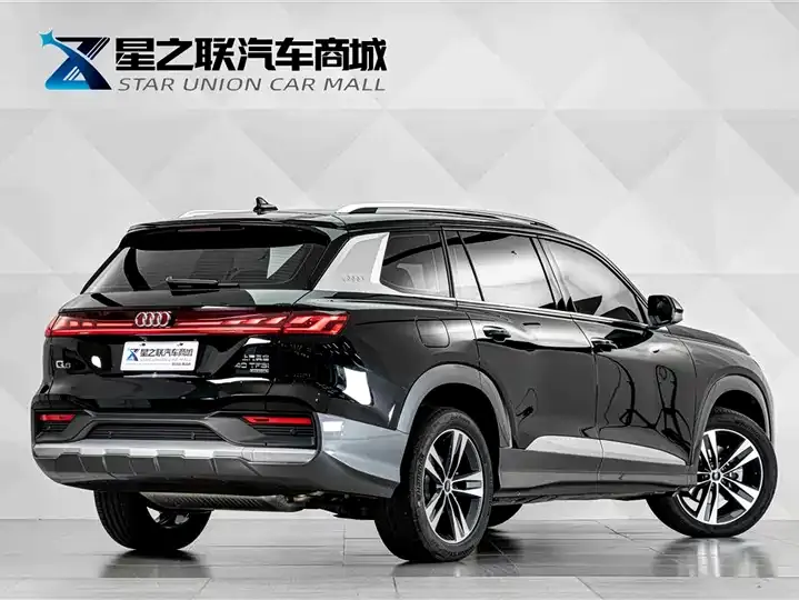 Audi Q6 2025 40 TFSI quattro Commemorative Edition Feather Forest Set 7 6