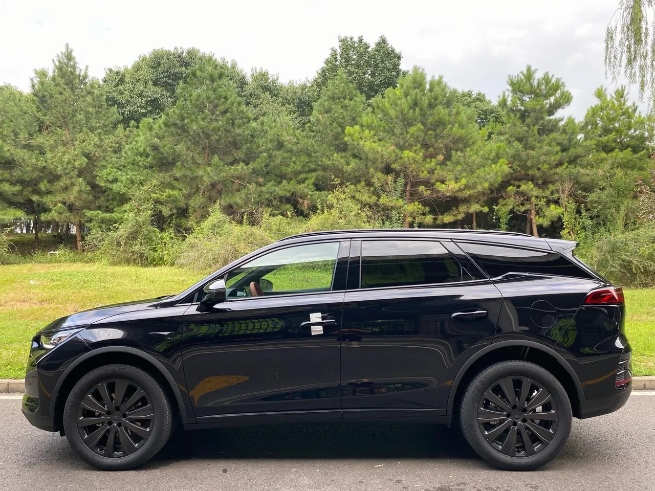 BYD Tang New Energy 2025 Tang DM-i 1.5T Stepless 175KM Pilot Edition Automatic Gear 3