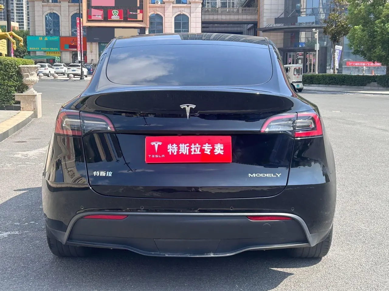 Tesla 2022 Model Y rear-wheel drive version automatic transmission 8