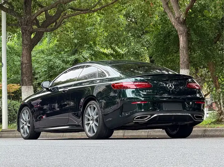 Mercedes Benz E-Class (Imported) 2023 E -260 Coupe 6