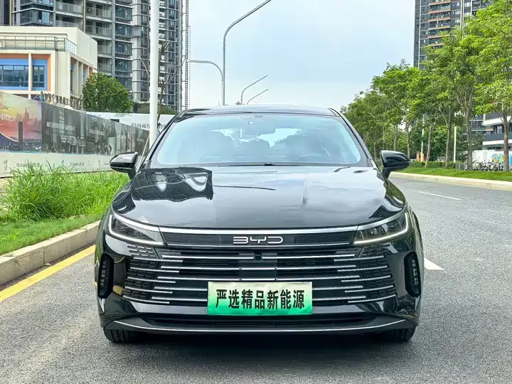 Destroyer 05 2024 Glory Edition DM-i 55km Luxury Model 2