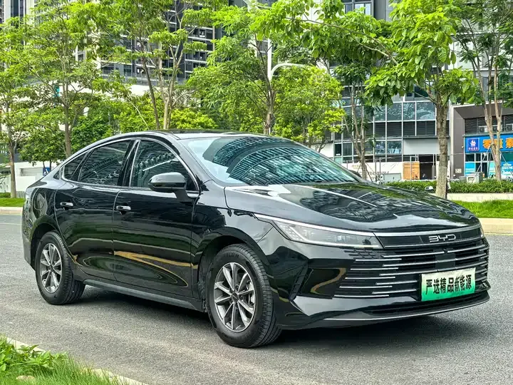 Destroyer 05 2024 Glory Edition DM-i 55km Luxury Model 3