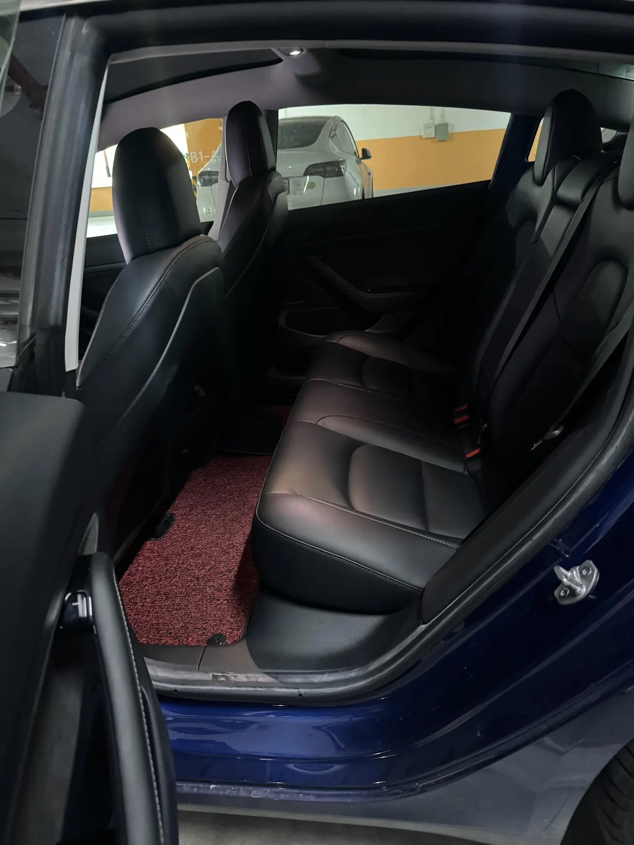 Tesla 2020 Model 3 Standard Endurance Rear Drive Upgraded Automatic Gear 10