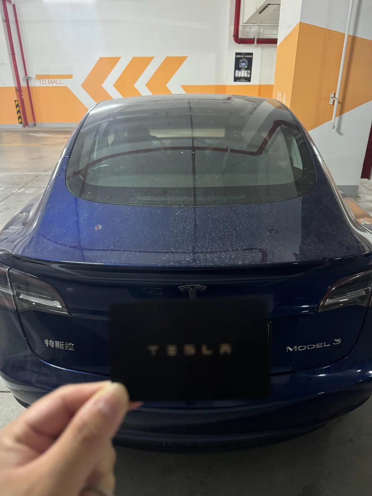 Tesla 2020 Model 3 Standard Endurance Rear Drive Upgraded Automatic Gear 6