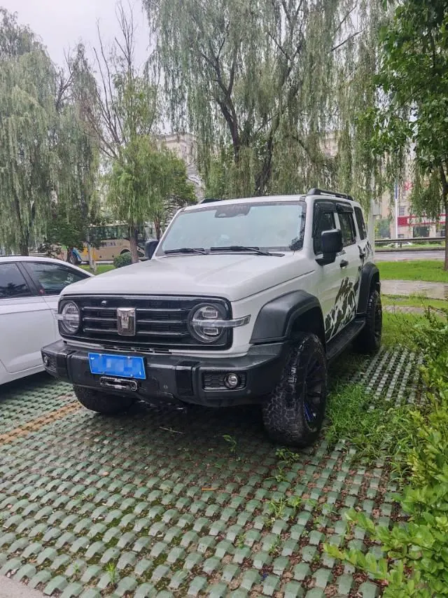 Tank 2021 Tank 300 2.0T Off-road Conqueror Automatic - View 1