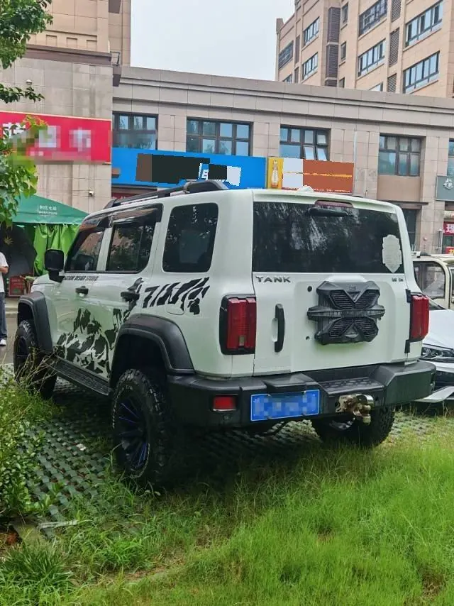 Tank 2021 Tank 300 2.0T Off-road Conqueror Automatic 4