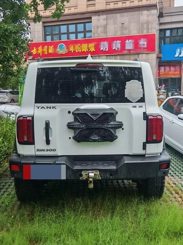 Tank 2021 Tank 300 2.0T Off-road Conqueror Automatic 5