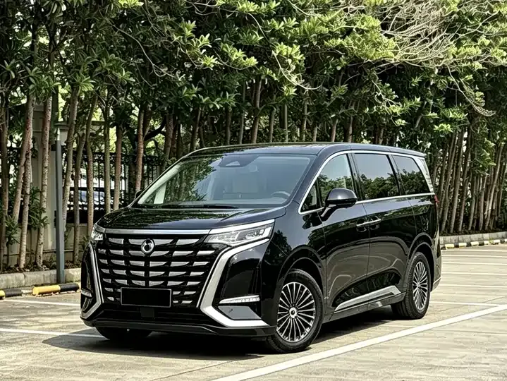 Denza D9 2024 DM-i 980 four-wheel drive flagship - View 1
