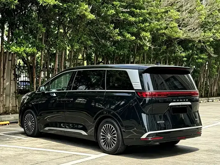 Denza D9 2024 DM-i 980 four-wheel drive flagship 11