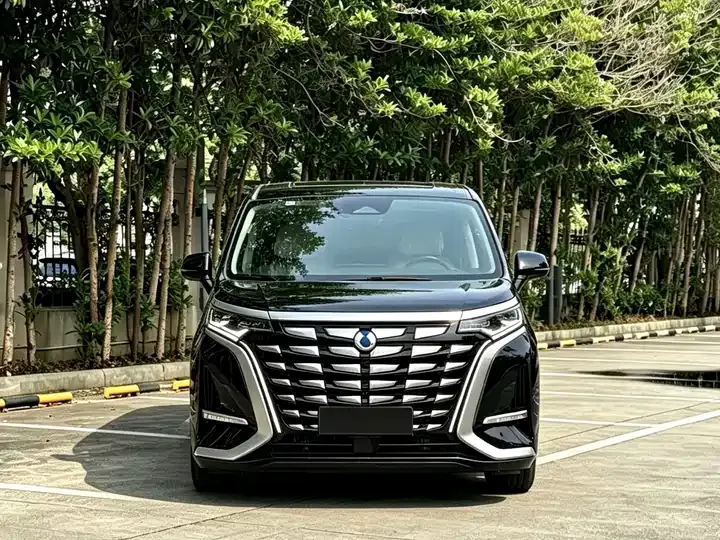 Denza D9 2024 DM-i 980 four-wheel drive flagship 2