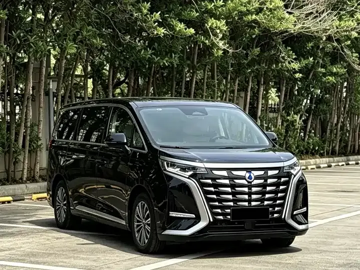 Denza D9 2024 DM-i 980 four-wheel drive flagship 3