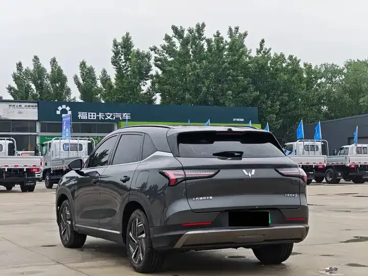 WuLing Starlight S 2024 130km Flagship 4