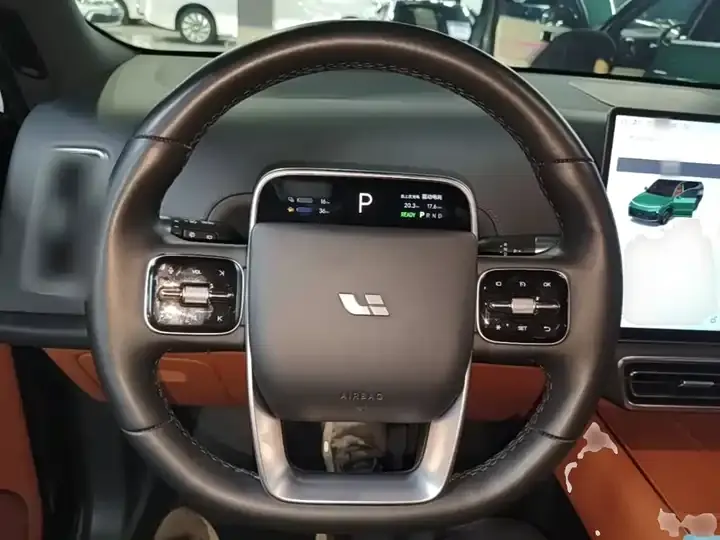 Li L9 2022 Max 11