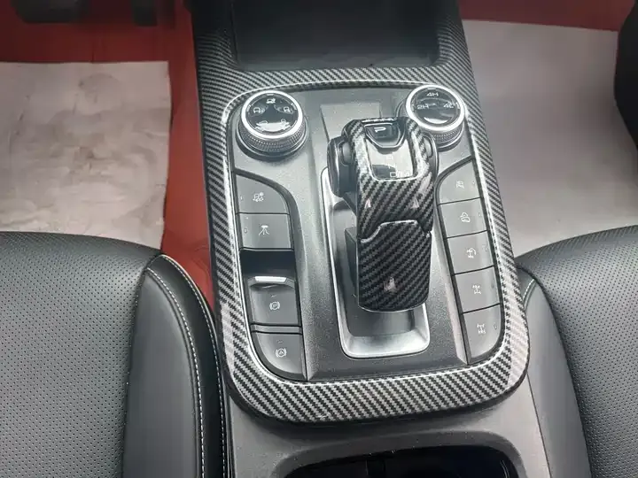 Tank 300 2021 Off-road Edition 2.0T Conqueror 11