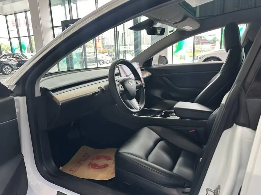 Tesla 2020 Model 3 Standard Endurance Rear Drive Upgraded Automatic Gear 4