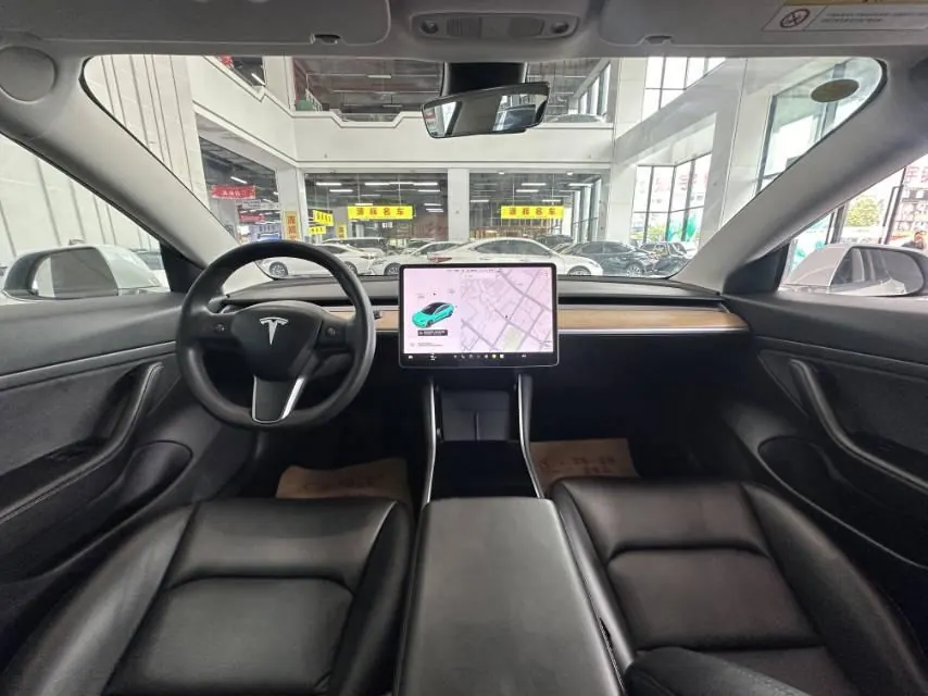 Tesla 2020 Model 3 Standard Endurance Rear Drive Upgraded Automatic Gear 5