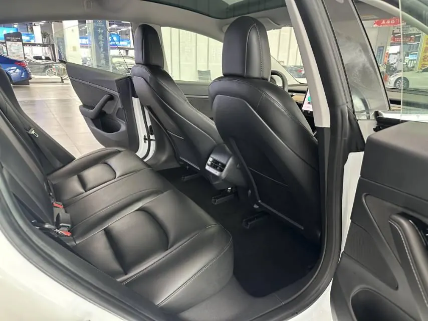 Tesla 2020 Model 3 Standard Endurance Rear Drive Upgraded Automatic Gear 6