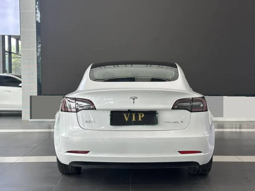 Tesla 2020 Model 3 Standard Endurance Rear Drive Upgraded Automatic Gear 8