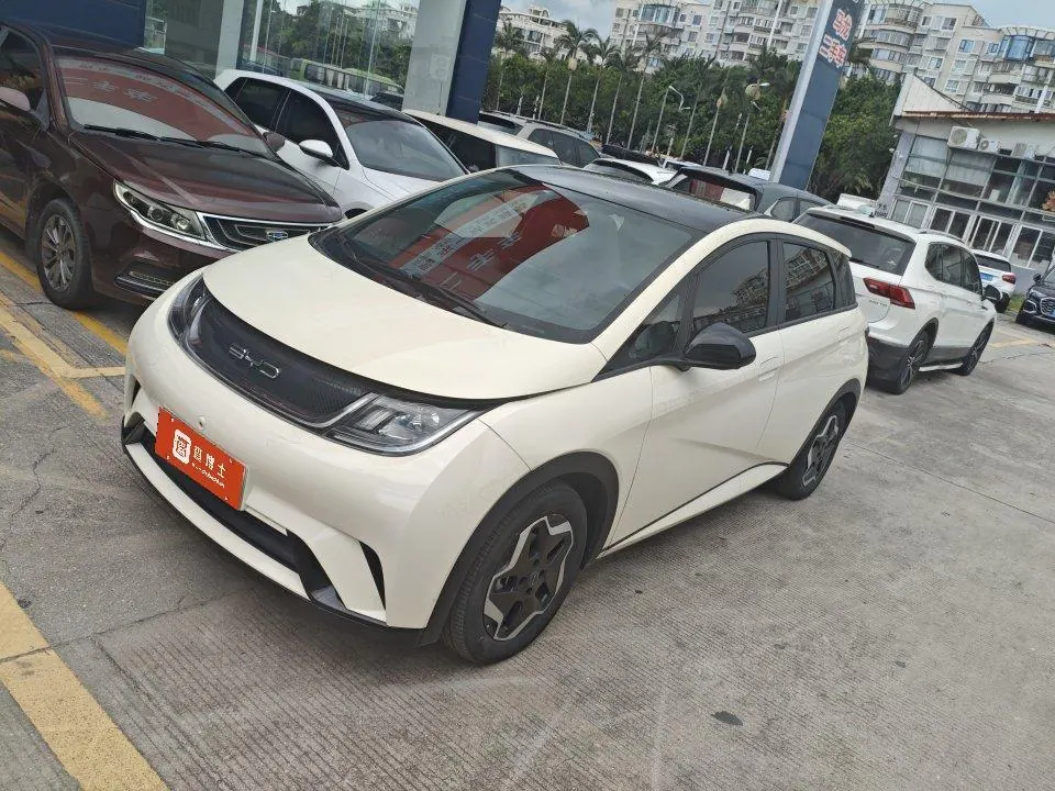 BYD 2021 Dolphin 405km Fashion Edition Automatic - View 1