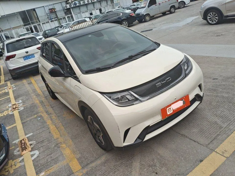 BYD 2021 Dolphin 405km Fashion Edition Automatic 2