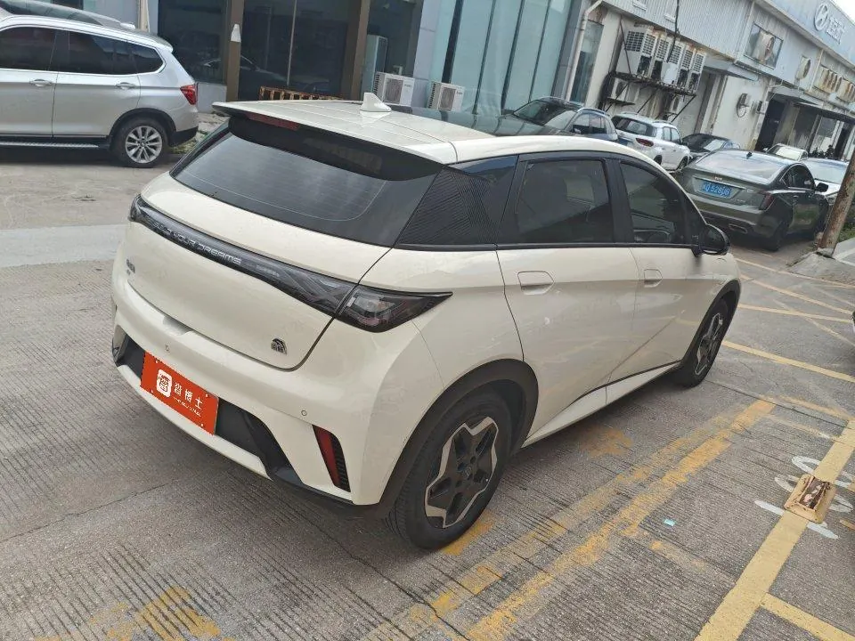 BYD 2021 Dolphin 405km Fashion Edition Automatic 3
