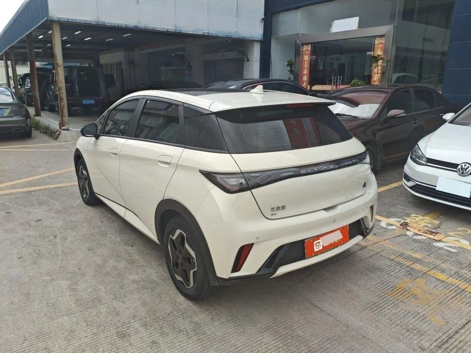 BYD 2021 Dolphin 405km Fashion Edition Automatic 4
