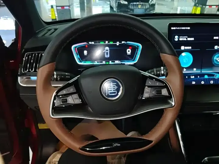 Tang New Energy 2021 DM-i 112km Flagship Model 11