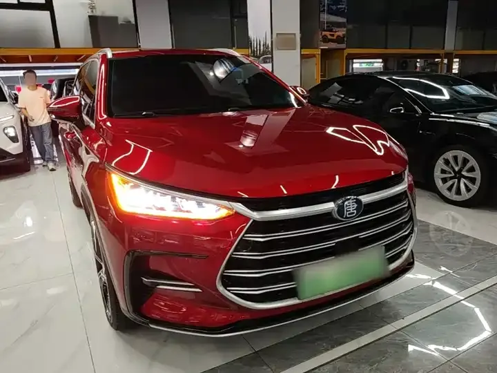 Tang New Energy 2021 DM-i 112km Flagship Model 4
