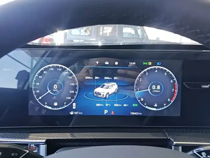 Ruihu 7 PLUS 2023 Champion Edition 1.5TCI CVT Special Edition 12