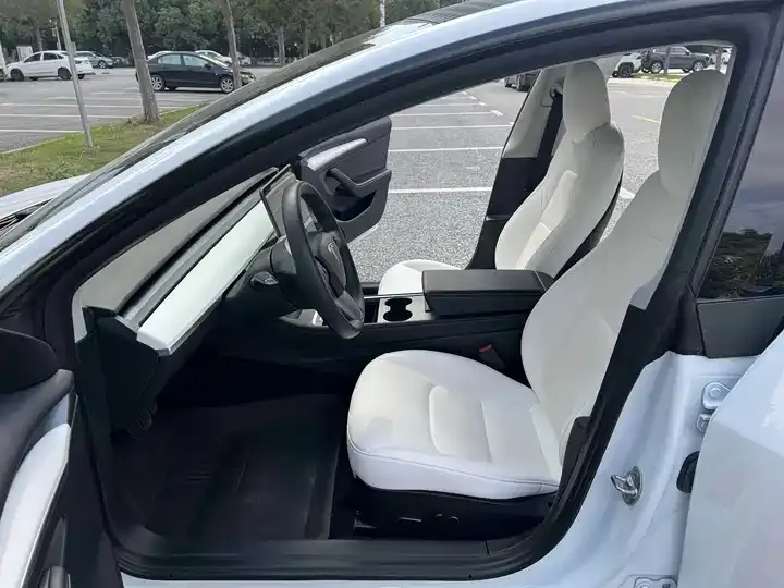 Model 3 2022 Performance high-performance all-wheel drive 4
