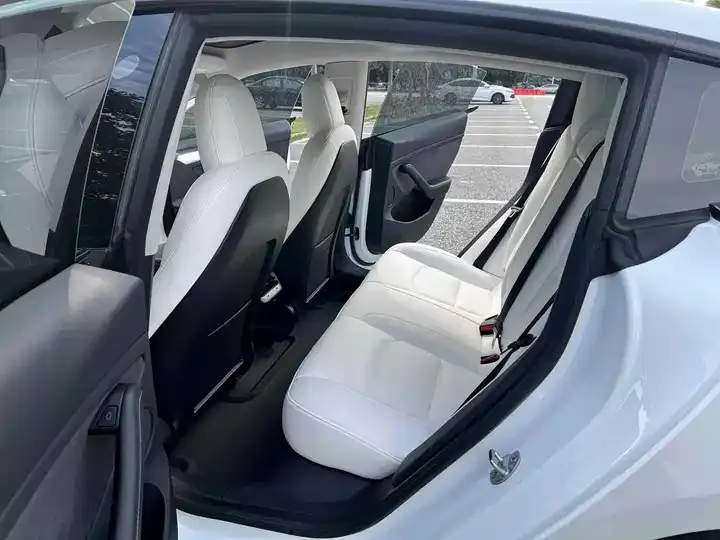 Model 3 2022 Performance high-performance all-wheel drive 6