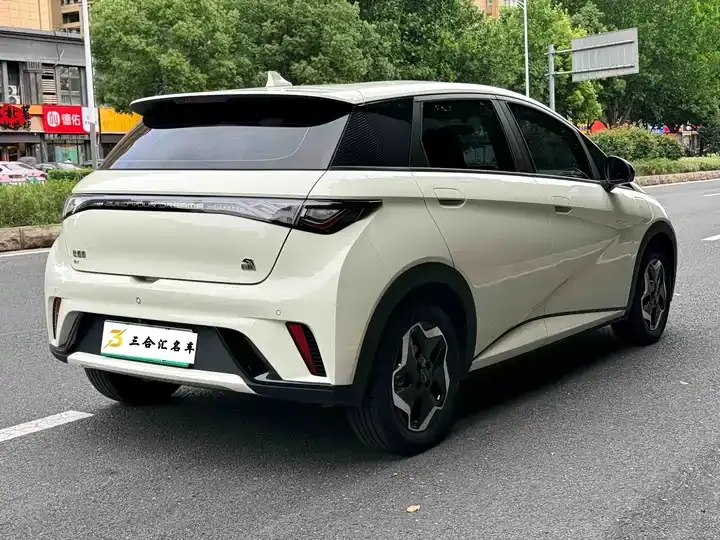 Dolphin 2021 405km Free Edition 10