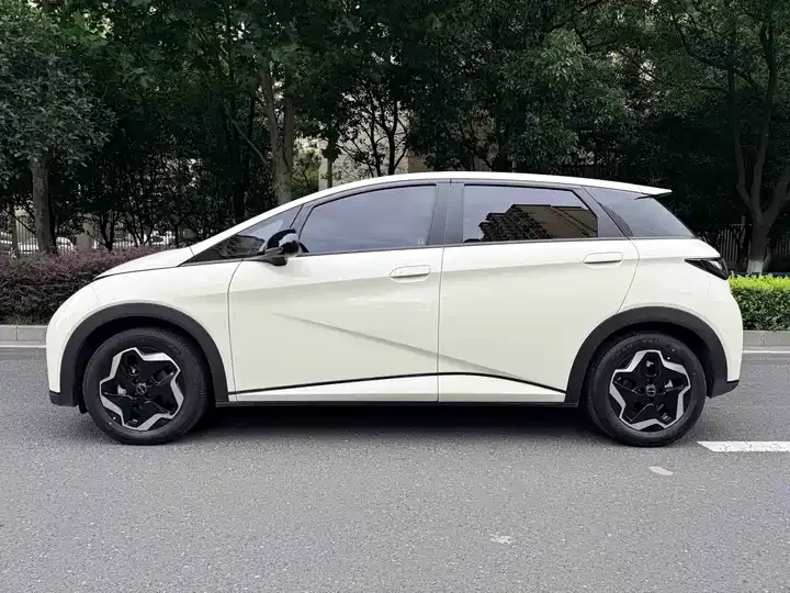 Dolphin 2021 405km Free Edition 5
