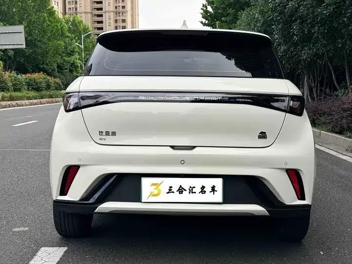 Dolphin 2021 405km Free Edition 9