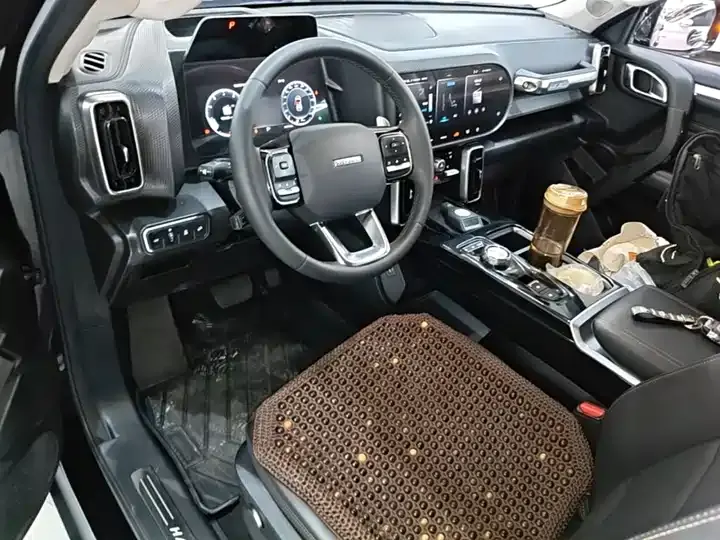 Haval Big Dog 2022 1.5T DCT Two-Drive Border Pastoral Edition 10