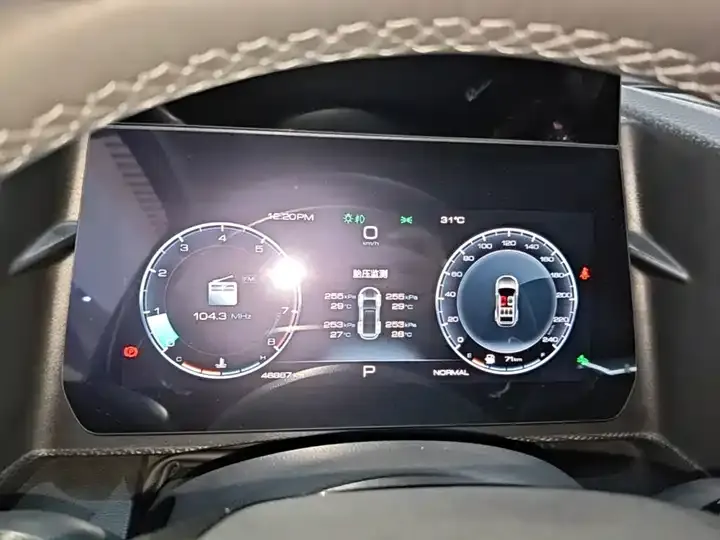 Haval Big Dog 2022 1.5T DCT Two-Drive Border Pastoral Edition 12