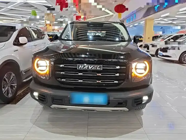 Haval Big Dog 2022 1.5T DCT Two-Drive Border Pastoral Edition 3