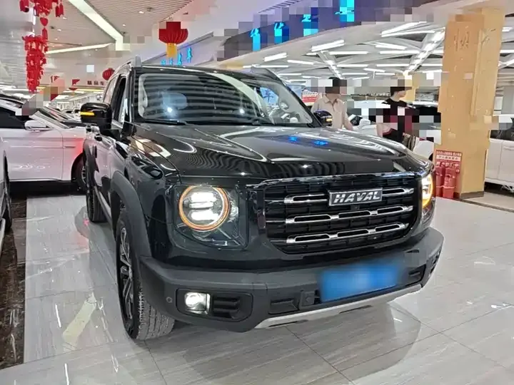 Haval Big Dog 2022 1.5T DCT Two-Drive Border Pastoral Edition 4