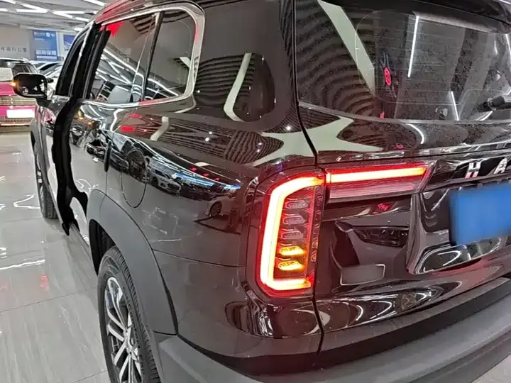 Haval Big Dog 2022 1.5T DCT Two-Drive Border Pastoral Edition 5