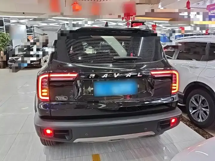Haval Big Dog 2022 1.5T DCT Two-Drive Border Pastoral Edition 6
