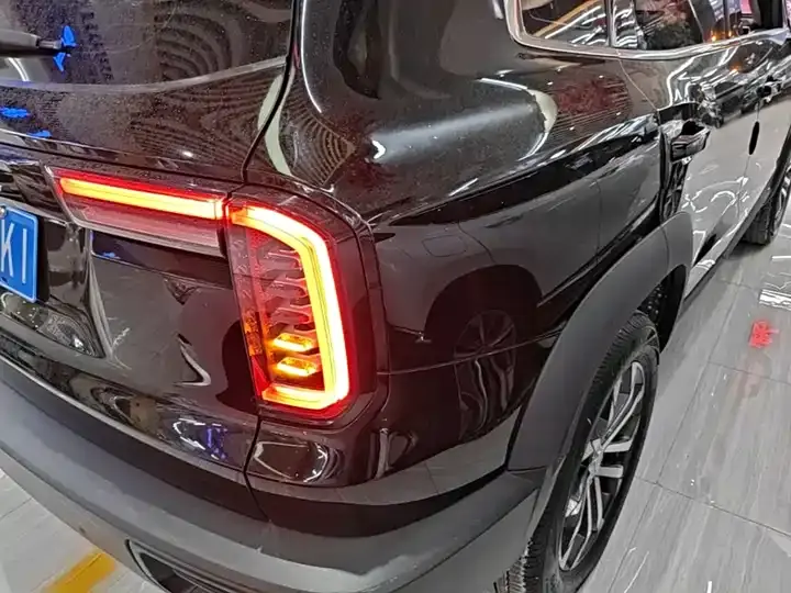 Haval Big Dog 2022 1.5T DCT Two-Drive Border Pastoral Edition 8
