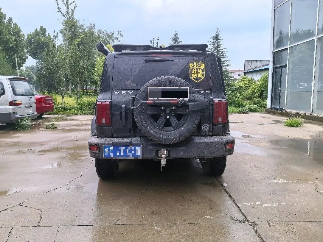 Tank 2021 Tank 300 2.0T Off-road Conqueror Automatic 3