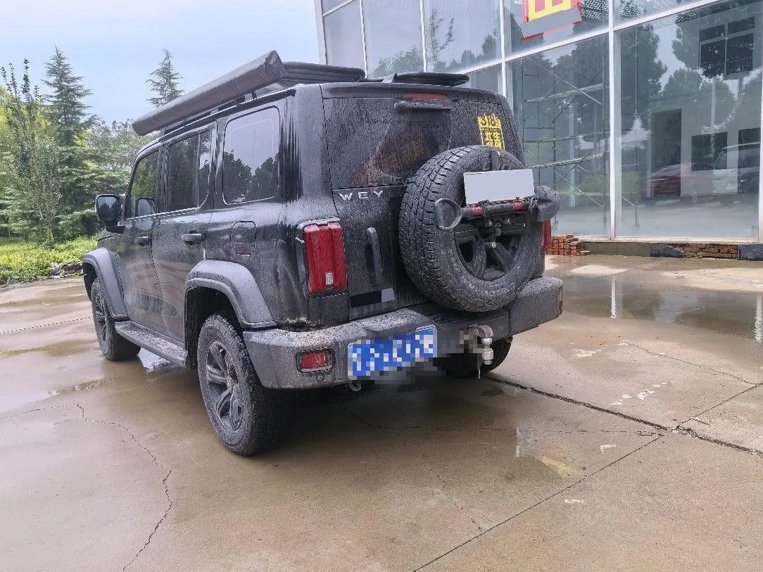 Tank 2021 Tank 300 2.0T Off-road Conqueror Automatic 4