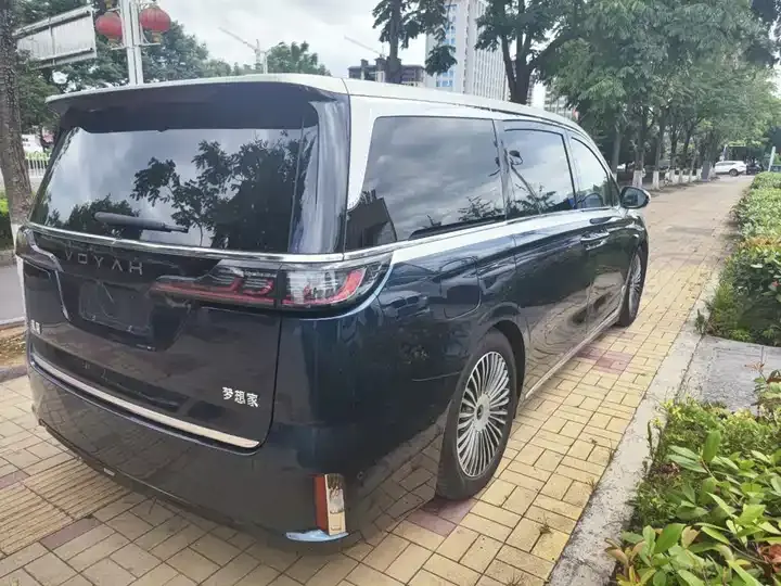 Voyah Dreamer 2025 PHEV Four-wheel Drive Flagship Dry Kun Edition 6