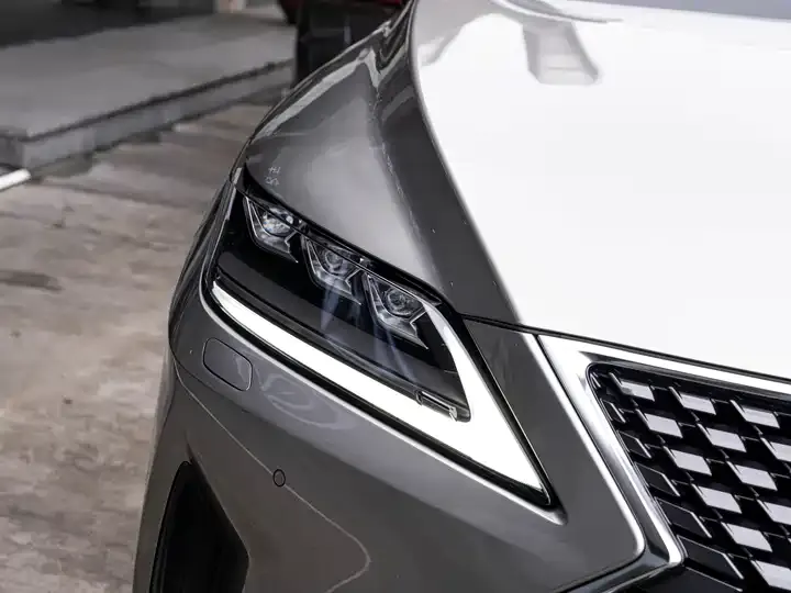 Lexus RX 2020 model modified 300 four-wheel drive elegant version 6