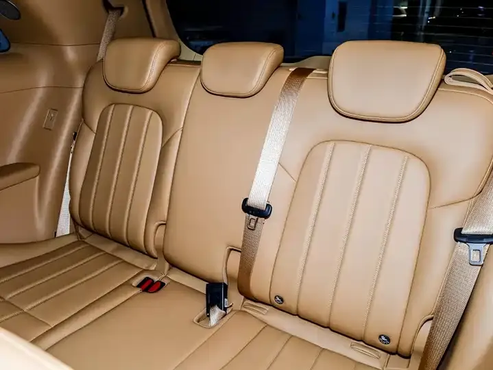Voyah Dreamer 2025 PHEV Four-wheel Drive Excellence Dry Kun Edition 11