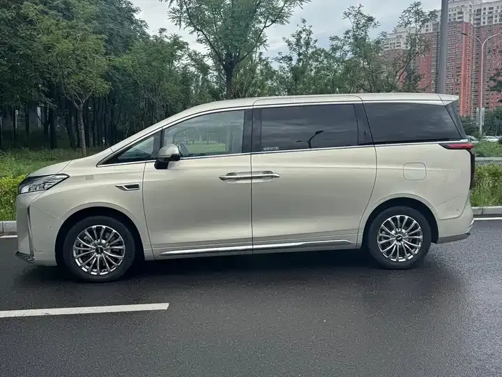 WEY Mountain 2023 Four-wheel Drive Flagship Edition 3