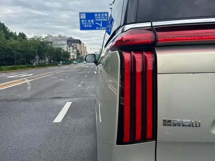 WEY Mountain 2023 Four-wheel Drive Flagship Edition 6